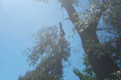 5934EC27-6AC9-4B78-8580-3FF27CFC8DB6