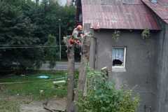 B1E2F227-0CC0-4EC2-98F7-D881E27146CC
