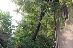E2B16376-8556-4AFD-859D-36FC29C95F21